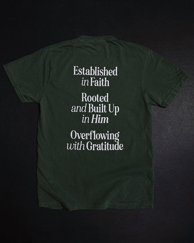 Established in Faith Ramona Green Unisex T-Shirt