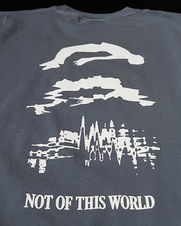 Not of This World Arctic Grey Unisex T-Shirt